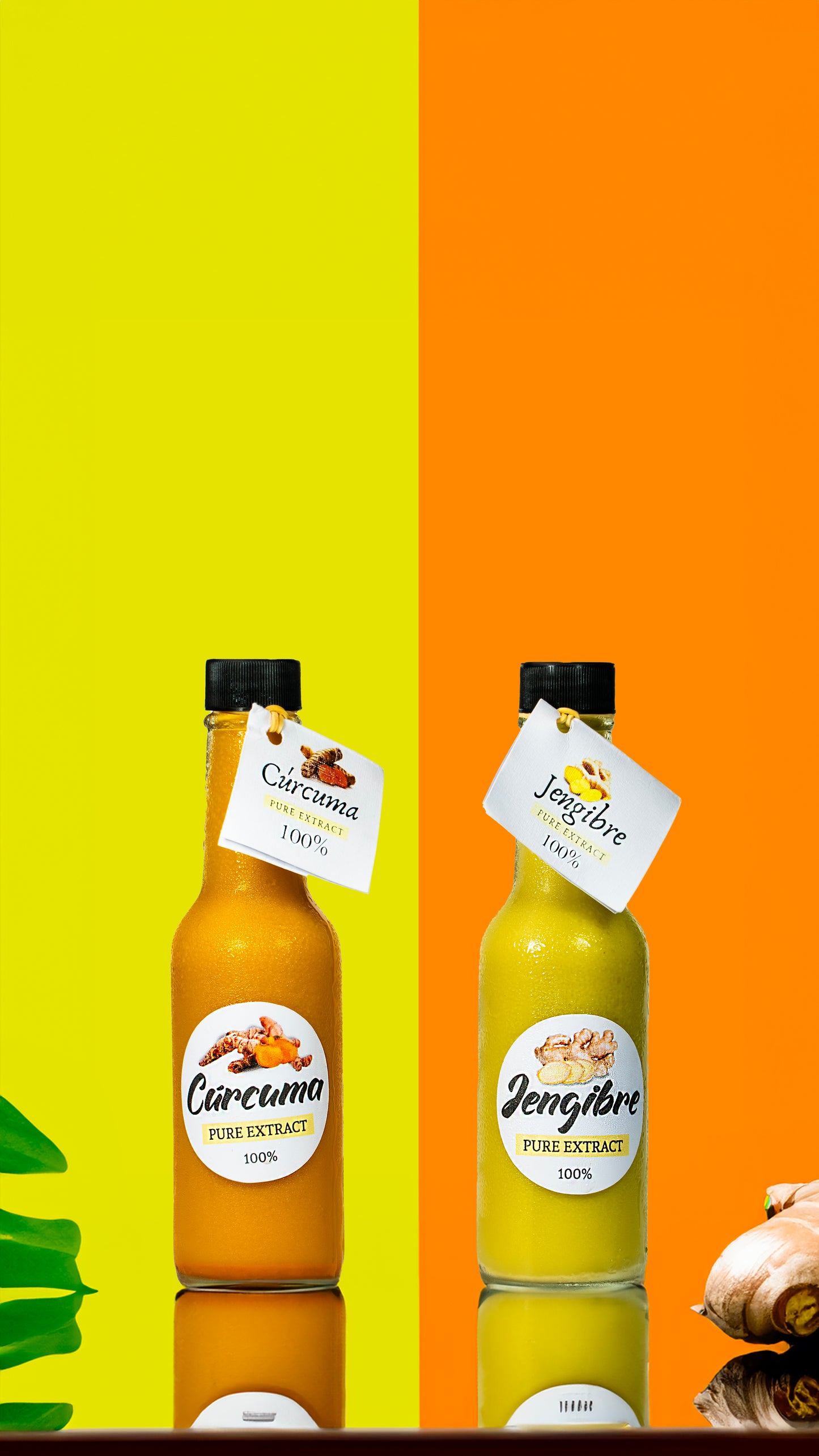 Extracto 100% natural Jengibre y Cúrcuma